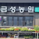 금성농원