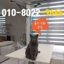 펫기사 | 펫도어 문 설치시공으로 난방비 절약하기