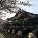 찬란 이미지