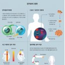 한국진돗개육종연구소 | 알아보자! 중입자(탄소 이온) 치료