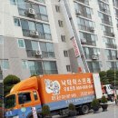일산포장 이미지