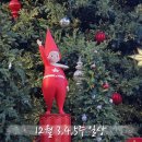 스튜디오 해치 | 12월 3,4,5주 일상 | 잘 먹고 잘 놀았던 2025년 일상 기록