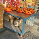 거양길-2 이미지