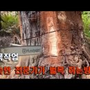 12-07-25(일).오늘은 주일. 고난은 우리를 거목이 되게 합니다/ 베드로전서3:8~12 이미지