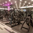 시그니쳐 GYM 네이버블로그