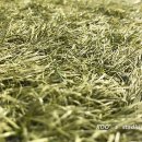 재현고등학교 이미지