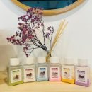 견고하개 이미지