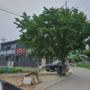 상수골60번지칼국수