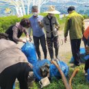 삼봉1리 이미지