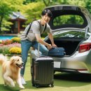 온천동물병원 | 반려동물 여행·차박족 증가와 펫동반여행 준비물·호텔 선택 핵심