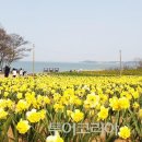 선돈 이미지