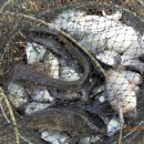 남촌낚시터 이미지