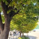 둔촌대로 258번길 이미지