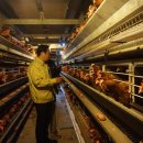 만전농장 이미지