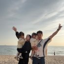 다을에스테틱 | 유성미즈제일병원] 36주 6일 제왕절개 일란성 딸쌍둥이 출산 리얼 생생 후기 (23.07.25 소다둥이 탄생)