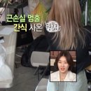 미미고 이미지