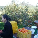 수석농장 이미지