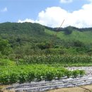 광진리경로당 이미지