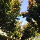 장천기사식당 이미지