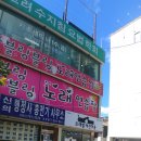 트레벨애견미용 이미지