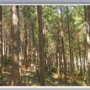 가나안모텔 이미지