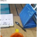 프로스펙스구미