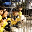 광진구 12 서울뉴스통신
