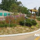 남면 작은도서관 이미지