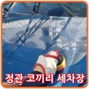 코끼리세차장 이미지