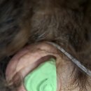 그린의료기 이미지