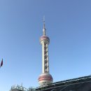 화이트래빗 | 상하이여행 기념품 추천｜난징동루 따바이투 화이트래빗 사탕 가격, 패키지 솔직후기