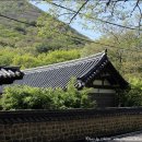 대흥여관 Daum카페
