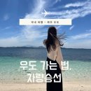 미스터짹 | 제주여행 우도 가는법 차량승선 후기