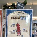 대단한커피&대단한탕후루운정 이미지