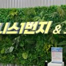 피트니스1번지 이미지