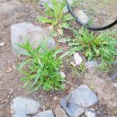 강릉신나는펜션 이미지