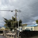 늘 올레 스테이 | 제주 종달리 숙소ㅣ조용한 마을 속에 머무는 감성 숙소 달집스테이 후기