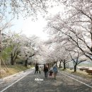 성류굴매표소앞 이미지