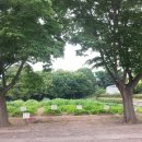 낙성농장 이미지