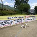 가평) 자라섬 꽃 페스타, 남도 꽃 정원 실시간 꽃 현황, 입장료 주차, 애견 동반 가능한 여행지 추천...