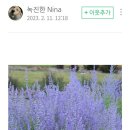 헬로우 모터스 이미지