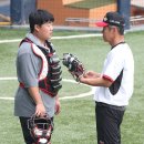 바오 이미지