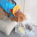 멍냥이네 구멍가게 이미지