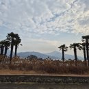 금남체육공원 이미지