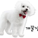 동진초장 이미지