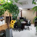 배성근공인중개사사무소 이미지