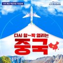 (주)청도여행사