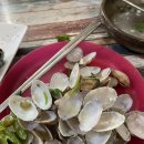 문가네칼국수 이미지