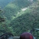 새말목장 이미지