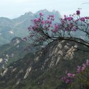 까맣게 잊혀진 시절의 음파(音波)~/ 파 이미지